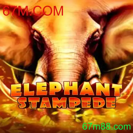Descubra o Universo Fascinante de ElephantStampede